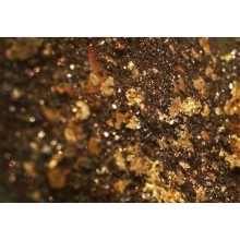 鉑思特含銅金精礦的選冶工藝，從含銅金精礦中浸出金銀銅